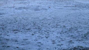 les fortes pluies causées par la tempête dans la soirée - alors que les voitures roulaient sur la route rendaient la circulation dangereuse, nécessitant la prudence sur les routes rurales en thaïlande. video