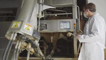 Technological and automatic milking machine and farmer. The state-of-the-art milking device performs automatic milking under the control of the farmer, who has a tablet in his hand. video