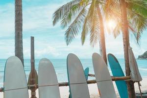 muchas tablas de surf en alquiler en la playa de verano con cielo azul de la luz del sol. foto