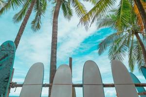 muchas tablas de surf en alquiler en la playa de verano con cielo azul de la luz del sol. foto