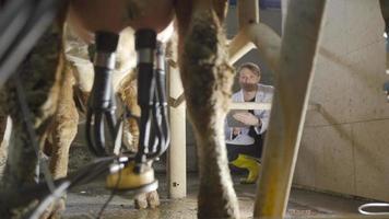 Moderna sala de ordeño de vacas. granjero moderno rastreando el ordeño y tomando notas en la tableta. video