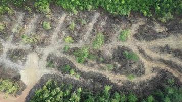 vue aérienne de la déforestation en malaisie. video