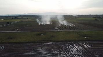 Fliegen Sie in Richtung Reisfeld, das offen brennt. video