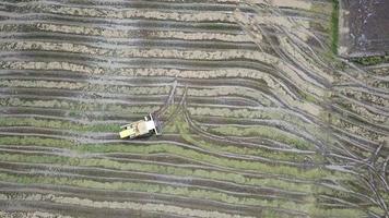 drone shot eagle volare sopra la mietitrice e la risaia a bukit mertajam. video