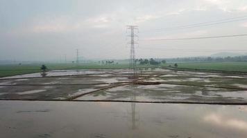 Fliegen Sie in Richtung des elektrischen Turms in einem schlammigen Feuchtgebiet-Reisfeld. video
