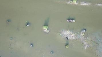 Aerial view fisherman pull the net at Batu Kawan, Penang. video