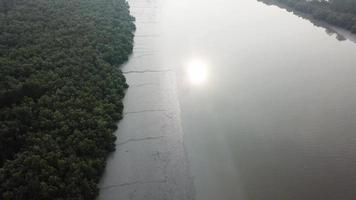 Fly over mangrove forest with sun reflection in the water. video