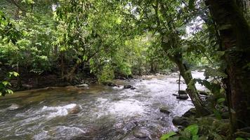 panorâmica esquerda fluxo de água e rocha video