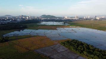 Aerial fly over different pattern of paddy field