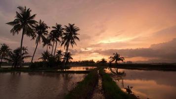 timelap silhouette tramonto dell'isola di cocco video