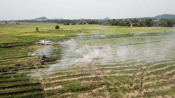 emissão de poluentes atmosféricos devido a queimadas em campo aberto no sudeste da Ásia. video