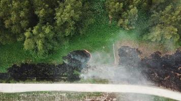 Top view burning green grass in the field at Malaysia, Southeast Asia. video