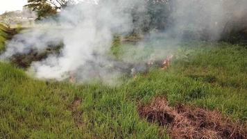 drohne schoss offenes feuer auf grünes feld in malaysia, südostasien. video