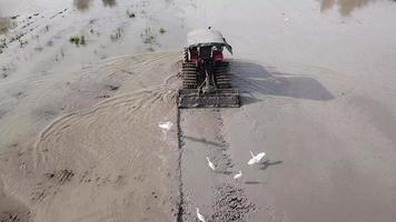 Tractor plough soil rice paddy, agriculture in Malaysia. video