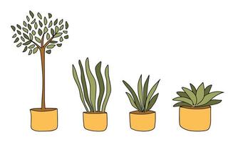 Set of isolated home plants in pots for decor your living room or office. Potted plants bundle, house plants. Vector collection