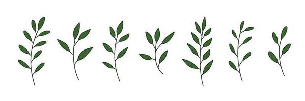 vector ramas y hojas. elementos florales dibujados a mano. ilustraciones botánicas de época.