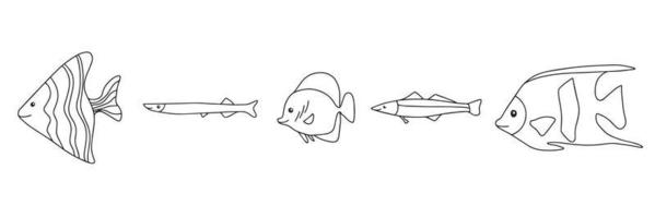 diferentes tipos de iconos de contorno de pescado en la colección de conjuntos para el diseño. Ilustración de stock de símbolo de mapa de bits de peces marinos y de acuario. vector