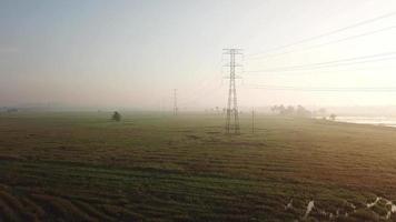 Antenne fliegt während des Dunstmorgens in Richtung Stromturm am Reisfeld video