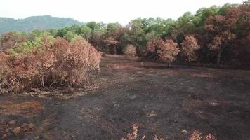 Fly over dry land before green bush in village of Southeast Asia. video