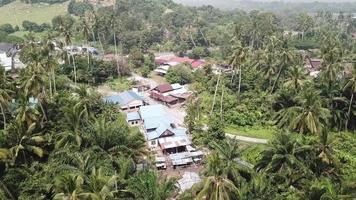 luchtvlieg over de traditionele azische dorpsrand met kokospalmen. video