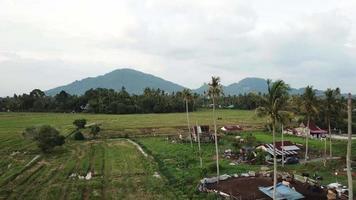 tiro aéreo vuela sobre la zona rural del pequeño pueblo de penang, malasia. video