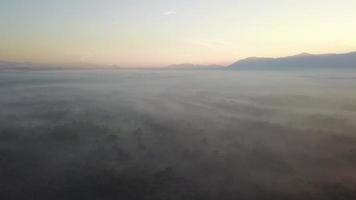 vue aérienne forêt brumeuse avec rayon de soleil diffus à travers le mont bintang. video