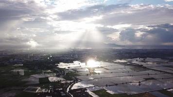 Beautiful sun ray over reflection in flooded paddy field. video