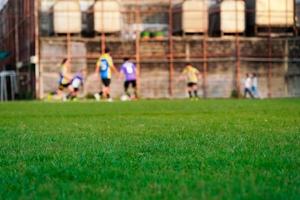 césped en el campo de fútbol foto