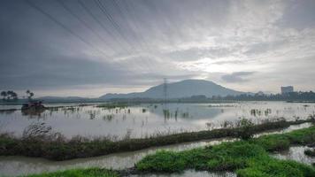 zona umida lasso di tempo a bukit mertajam. video