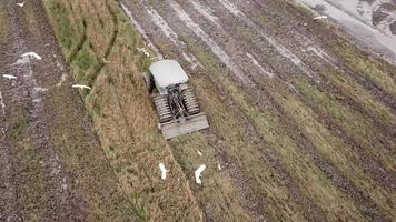 Aerial tractor plough in paddy field. Some dogs beside the field. video