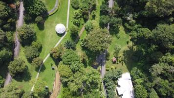 vista aerea guardare in basso il giardino botanico al mattino video