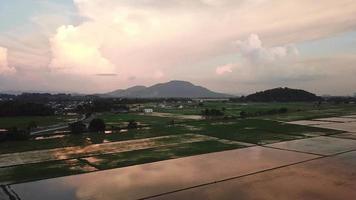 campo de arroz aéreo voar perto da vila de malaios em penang, malásia. video