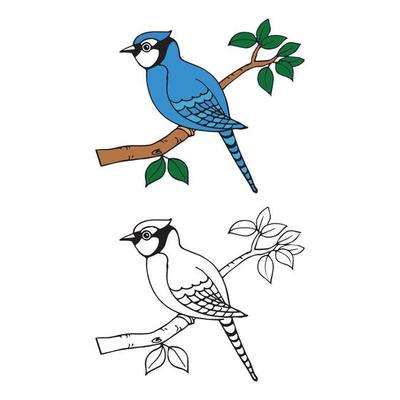 Kids Coloring Pages, Cute Bird Sit On Tree  Branch Character Vector illustration EPS And Image