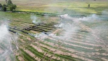 Top view air pollution by smoke emission from open fire. video