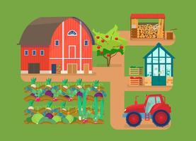 Vector illustration of farm scene. Red barn, vegetable beds, tractor, glass house with plants, woodpile, firewood, apple tree, boxes with vegetables.