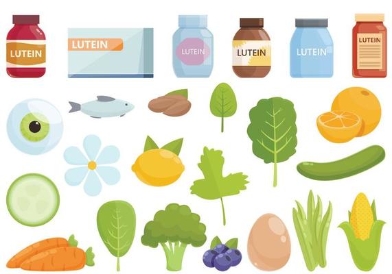 Lutein icon cartoon vector. Eye blueberry