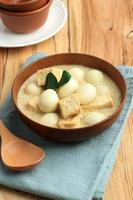 Opor Tahu Telur Puyuh or Indonesian Curry with Tofu and Quail Egg, Served on Ceramic Bowl photo