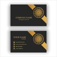 Professional Business Card vector