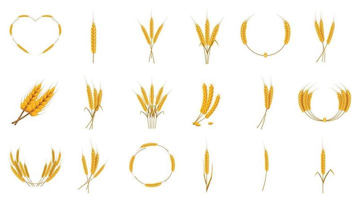 Wheat icon set, cartoon style