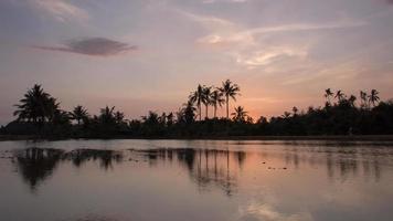 lasso di tempo riflessione tramonto alberi di cocco. video