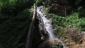 fango e foresta di veicoli fuoristrada. veicolo fuoristrada che guida attraverso una pozzanghera nella foresta, spruzzi d'acqua. video