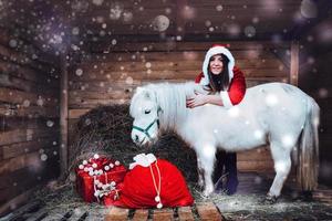 a christmas woman with gifts and a white horse photo