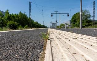 weeds on a platform in summer photo