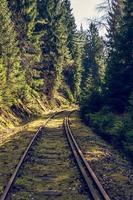 railway track in the forest photo