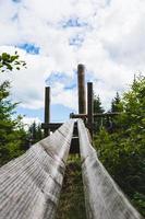 Wooden construction in forest photo