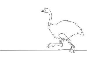 Single continuous line drawing African ostrich walks on the savannah. Zoo. African fauna. Bird, ostrich, camel-bird. Wildlife of Africa. Dynamic one line draw graphic design vector illustration