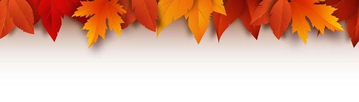 Realistic yellow, red, orange leaves. Autumn foliage on a white background. Vector illustration