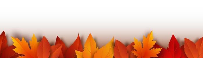hojas amarillas, rojas y naranjas realistas. follaje de otoño sobre un fondo blanco. ilustración vectorial vector