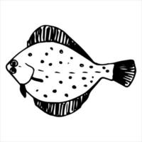 A single vector element is a flounder fish. Hand-drawn. For lovers of hunting and fishing. Creating patterns, stickers, wallpapers, fabrics.