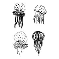 Vector set of inhabitants of the seabed. Jellyfish of different shapes.